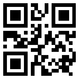 Il Qr Code di 3917493112