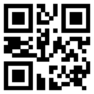QrCode di 3917493113