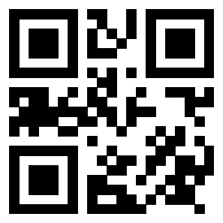3917528333 QrCode associato