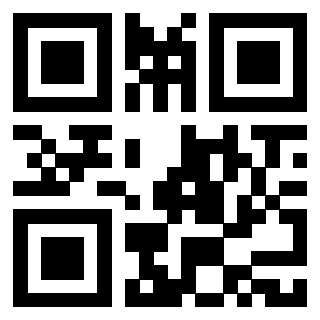QrCode di 3917528336