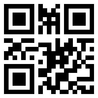 Il Qr Code di 3917528463