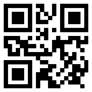 Il Qr Code di 3917528872