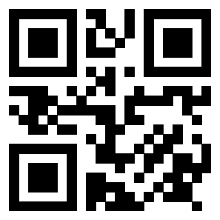 Il Qr Code di 3917528881