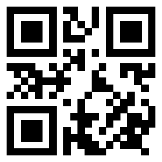 Il Qr Code di 3917528973