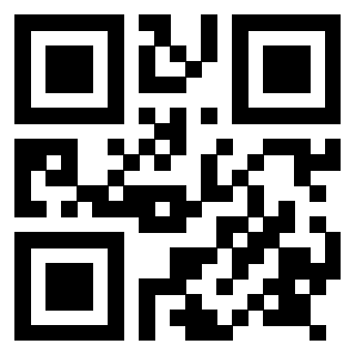 QrCode di 3917529009