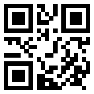 Il Qr Code di 3917529023
