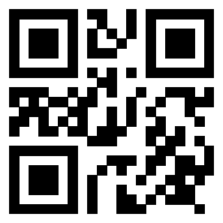 3917529033 - Immagine del QrCode