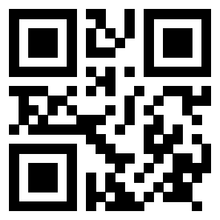 Il Qr Code di 3917529036