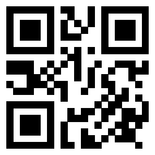 QrCode di 3917529061
