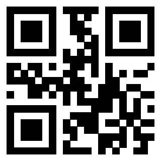 Il Qr Code di 3917529065