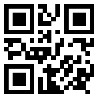 Il Qr Code di 3917551169