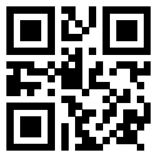Il Qr Code di 3917551173