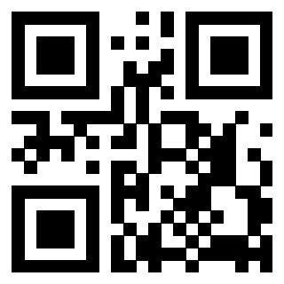 Il Qr Code di 3917551269