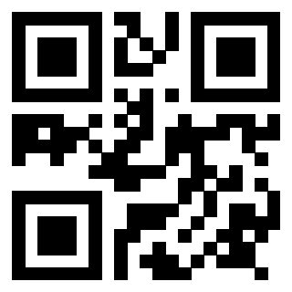 Il Qr Code di 3917551878
