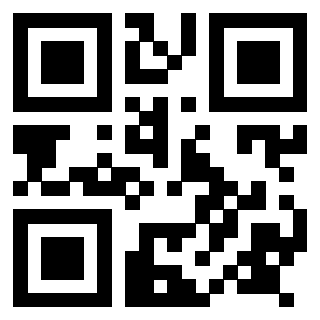 Il Qr Code di 3917551989