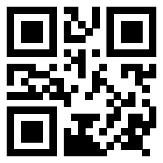 Il Qr Code di 3917551993