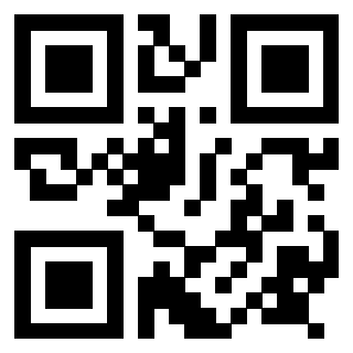 Il Qr Code di 3917552034