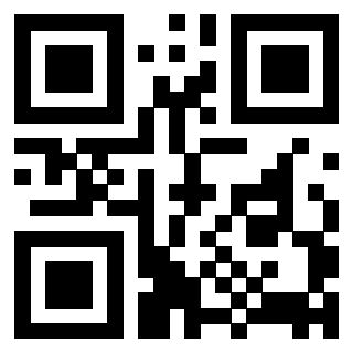 Il Qr Code di 3917582424