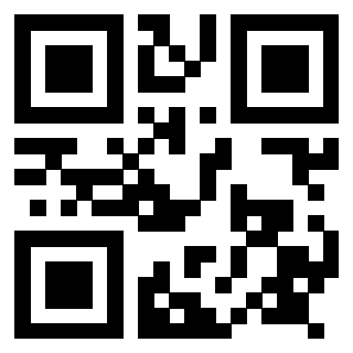 Il Qr Code di 3917582433