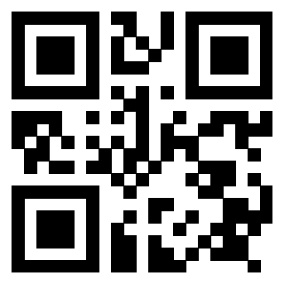 Il Qr Code di 3917582602