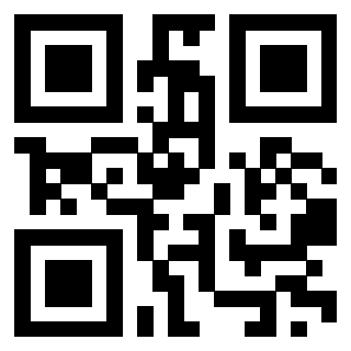 Il Qr Code di 3917583034