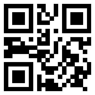 Il Qr Code di 3917583071