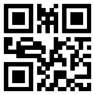 Il Qr Code di 3917583094