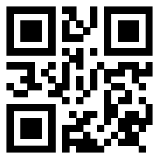 QrCode di 3917654787