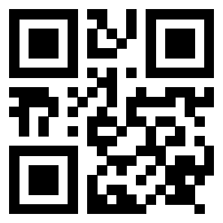 Il Qr Code di 3917654894