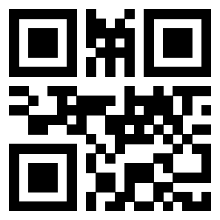 Il Qr Code di 3917654920