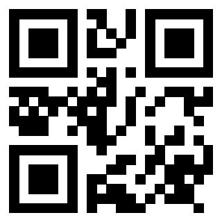 Il Qr Code di 3917655033