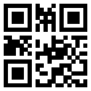 Il Qr Code di 3917655061