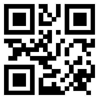 Il Qr Code di 3917655062