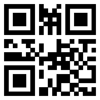 Il Qr Code di 3917655076