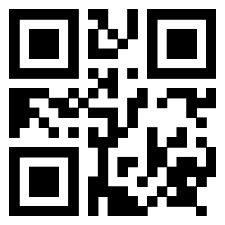 Il Qr Code di 3917655167