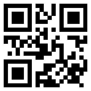 QrCode di 3917655384