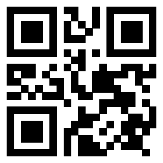Il Qr Code di 3917670848