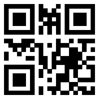 Il Qr Code di 3917671005