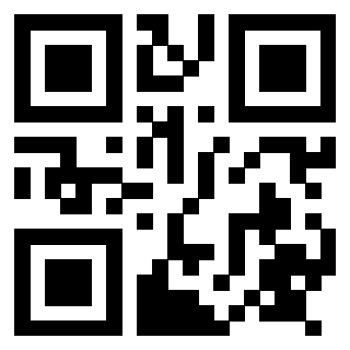 QrCode di 3917671027