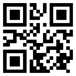 Il Qr Code di 3917671048
