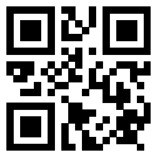 Il Qr Code di 3917671052