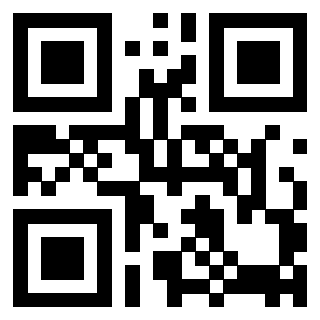 Il Qr Code di 3917671053