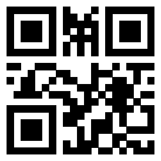 QrCode di 3917671059