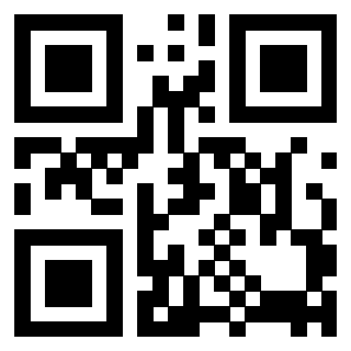 Il Qr Code di 3917671060