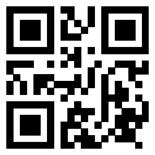 Il Qr Code di 3917671077