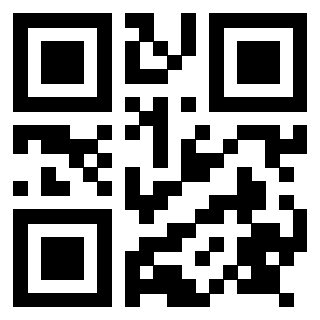Il Qr Code di 3917671084