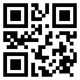 Il Qr Code di 3917671136