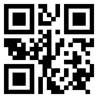 Il Qr Code di 3917671193