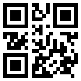 Il Qr Code di 3917671308