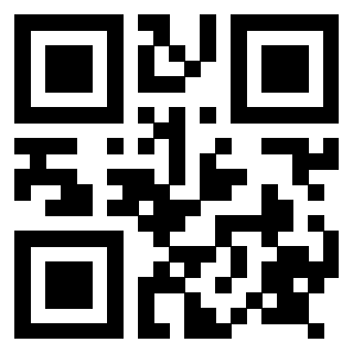 Il Qr Code di 3917671319